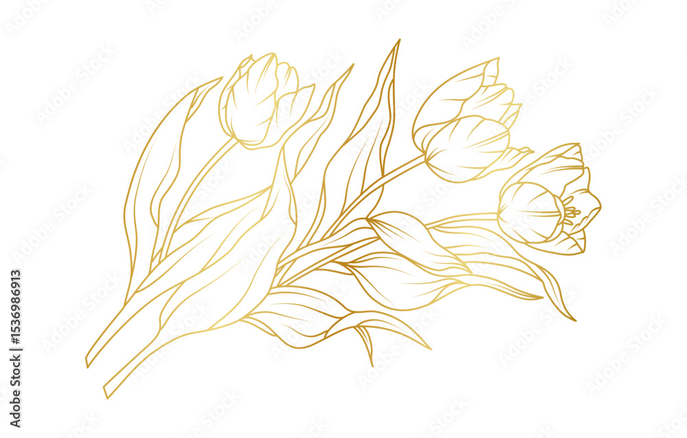 © abcvector - Golden tulip flowers line art isolated on white background. Luxury tulip floral design elements for invitation, wedding, wallpaper, print template, vector illustration © abcvector - Golden tulip flowers line art isolated on white background. Luxury tulip floral design elements for invitation, wedding, wallpaper, print template, vector illustration