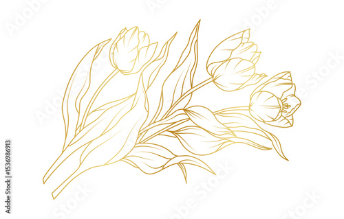 Golden tulip flowers line art isolated on white background. Luxury tulip floral design elements for invitation, wedding, wallpaper, print template, vector illustration