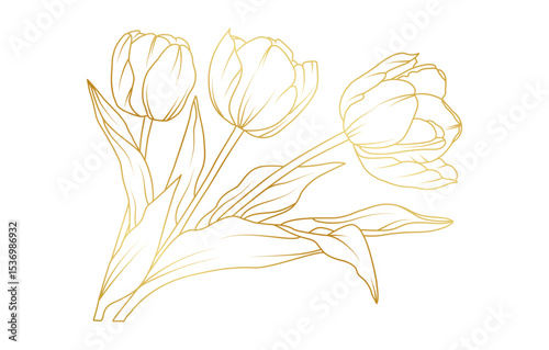 Golden tulip flowers line art isolated on white background. Luxury tulip floral design elements for invitation, wedding, wallpaper, print template, vector illustration