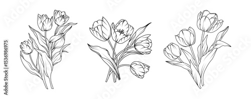 Tulip flower arrangement line art on white background. Silhouette tulip botanical hand drawn element for wedding, invitation frame design, vector illustration
