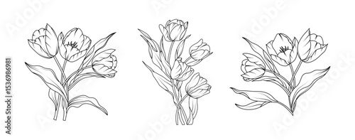 Tulip flower arrangement line art on white background. Silhouette tulip botanical hand drawn element for wedding, invitation frame design, vector illustration