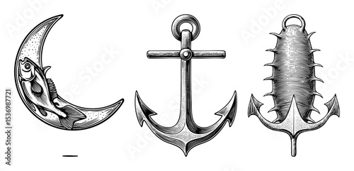 Vector Vintage nautical emblems showcase a moon with fish classic anchor and spiked anchor .