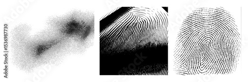 Vector Detailed fingerprint with swirling ridges.