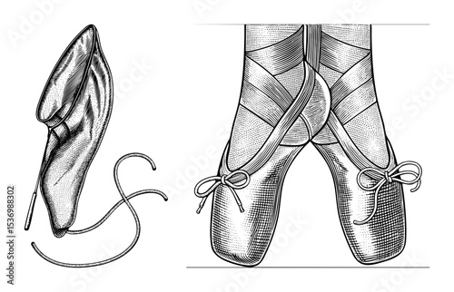 Vector Elegant ballet slippers are depicted in a vintage-style .