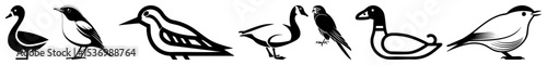 Vector Stylized bird illustrations showcase diverse avian forms in a modern vector .