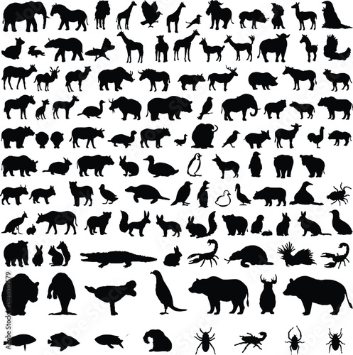 various animal world vector drawing
