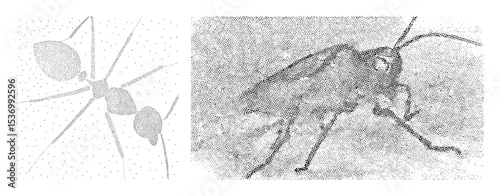 Vector Detailed insect illustrations depict ants in dynamic poses.