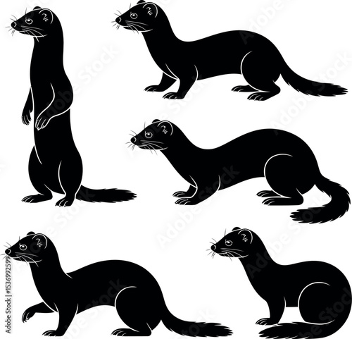 weasel silhouette on white background