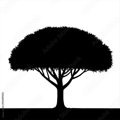 round tree silhouette isolated on white background