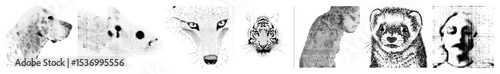 Vector Animal portraits collection featuring stylized vector illustrations.