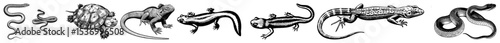 Vector Stylized lizards in dynamic poses showcase intricate vector illustrations.