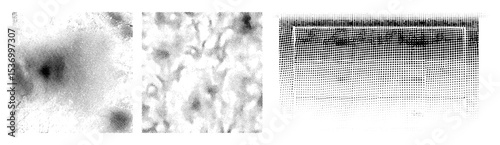 Vector Abstract wave and create a dynamic visual composition.