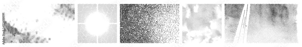 Vector Abstract vector lines create dynamic wave and ripple . Vector Abstract vector lines create dynamic wave and ripple .