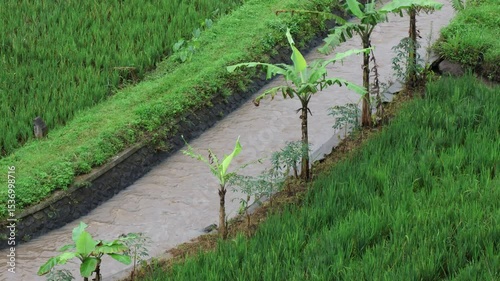 Camera movement of a view of a canal for irrigating agricultural land