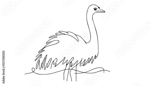 Continuous one single minimal line drawing Common ostrich