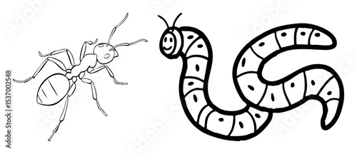 Vector Detailed vector of an ant and a segmented worm.