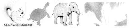Vector Detailed dot- illustrations of a squirrel cat elephant and rhinoceros. photo