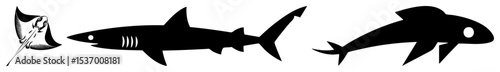 Vector Stylized marine life illustrations featuring a ray shark and fish.