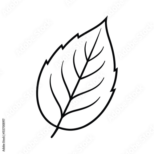 Highly detailed vector illustration of a single elm leaf showcasing intricate vein patterns and realistic color variations