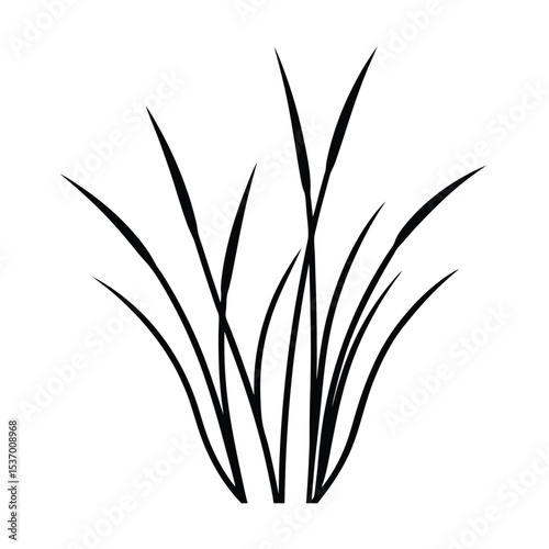 High resolution vector illustration of dry grass perfect for nature themed designs and backgrounds