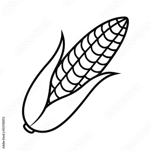 Detailed vector illustration of a corn cob perfect for agricultural designs food packaging and rustic themes