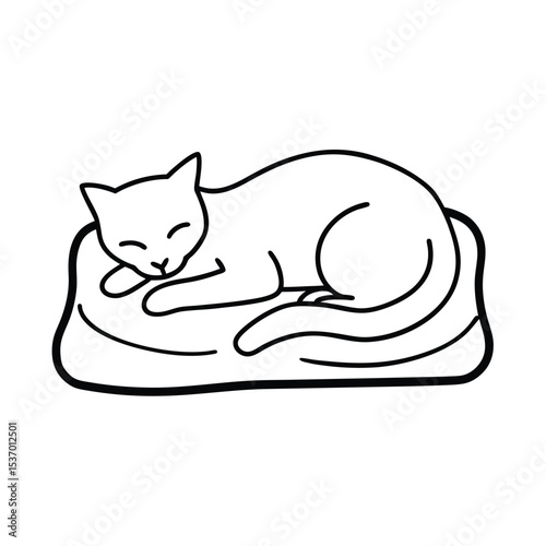 Adorable tabby cat napping peacefully on a soft cozy rug