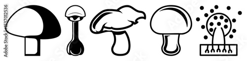 Vector Black and white mushroom illustrations showcase diverse fungal forms.