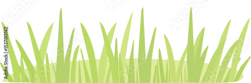 green grass isolated on white background