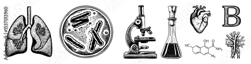 Vector Detailed anatomical illustrations and scientific equipment depict biological and chemical studies.