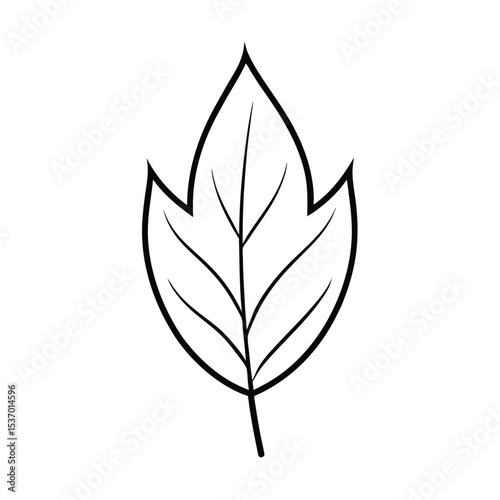 Detailed vector illustration of a single ash leaf high resolution image for design projects