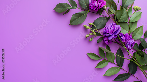 Purple flowers border on pastel violet background