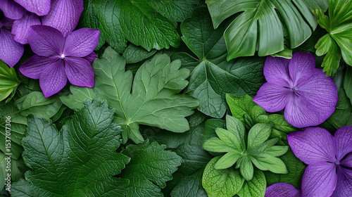 Purple flowers and lush green leaves botanical background