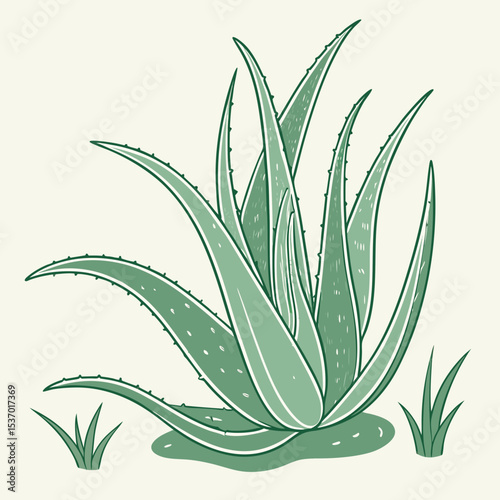 Lush green aloe vera plant illustration botanical design