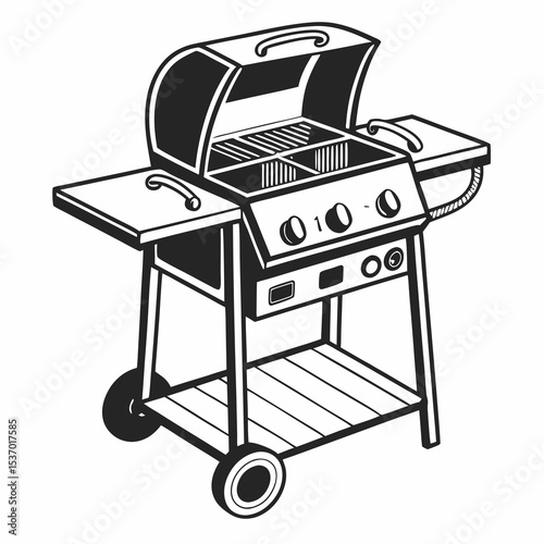 Outdoor gas grill barbecue cooking summer food party