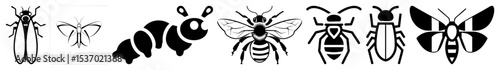 Vector Stylized bee illustrations showcase insect anatomy in a modern vector .