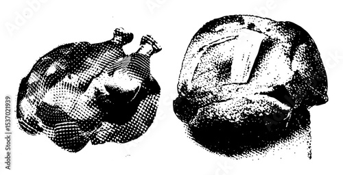 Vector Detailed illustrations of roasted fowl showcase culinary presentation.