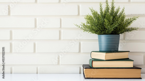 Plant on stack of books over white brick wall minimal