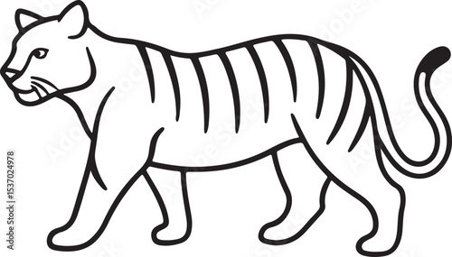 Walking tiger illustration isolated on white background
