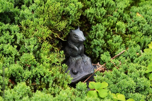 the squirrel guarding the garden