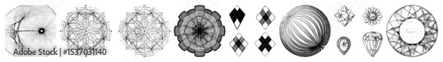 Vector Abstract organic shapes showcase evolving symmetrical .