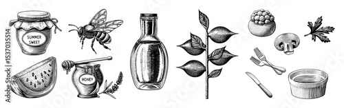 Vector Vintage honey collection featuring a bee jars and fruit illustrations.