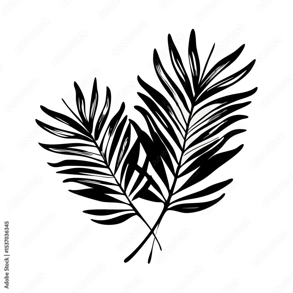 Fototapeta premium Minimalist black vector silhouette of tropical palm leaves for design projects