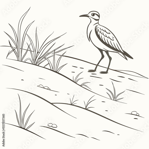 A lone shorebird on a sandy dune landscape