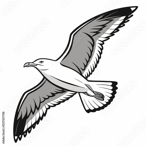 Professional seagull illustration isolated on white background ready for design projects