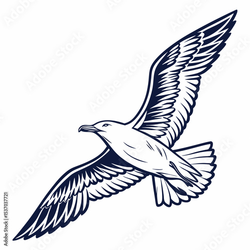 Professional seagull illustration isolated on white background, clean cutout, ready for design projects