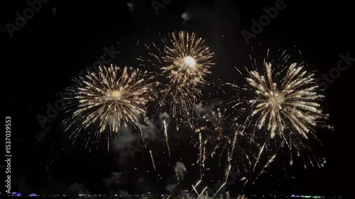 Amazing beautiful colorful firework display over sea on celebration night. Fireworks show for happy new year	
