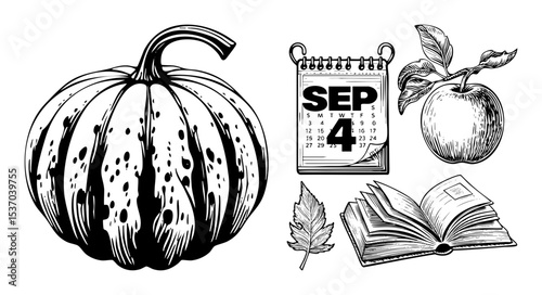 Vector Autumn still life featuring a pumpkin calendar  and open book.