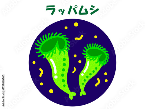 シンプルなラッパムシのイラスト素材5