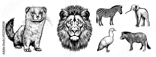 Vector Detailed illustrations of diverse wildlife including a ferret lion zebra elephant goose and foal.