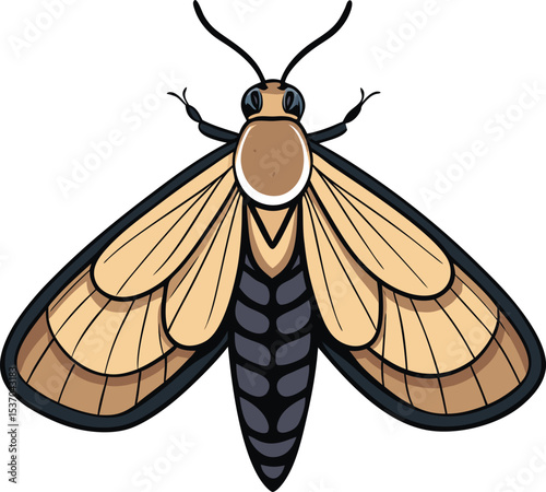 Moth Vector Illustration with Detailed Wings and Body in Neutral Colors